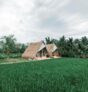 Beautiful Panoramic Rice Field – Segitiga Haus – Bali – Indonesia