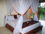 Tiara Homestay Pemuteran Bali – Bali – Indonesia