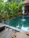 Mahayoni villa jungle view – Bali – Indonesia