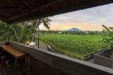 Private room near Keramas beach in Keramas Gianyar – Bali – Indonesia