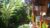 Cegeng Lestari Guest House – Bali – Indonesia