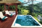 Private Infinity Pool with River and forest View – Bali – Indonesia