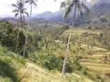 ESA di Kubu Homestay – Bali – Indonesia