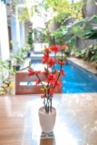 Alia Home – Bali – Indonesia