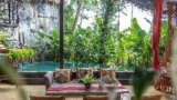 Firefly EcoLodge – Bali – Indonesia
