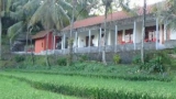 Lotus Guesthouse Sudaji – Bali – Indonesia
