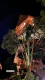 Tree House – Rumah Pohon – Penida Bambu Green – Bali – Indonesia