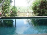 1BR Plunge Pool Facing the Jungle and Mountain. – Bali – Indonesia