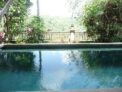 1BR Plunge Pool Facing the Jungle and Mountain. – Bali – Indonesia