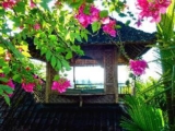 Bali Mountain Retreat – Bali – Indonesia