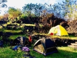 Rejeng Bali Camp – Bali – Indonesia