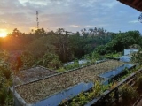 Private one bed room pool valey – Bali – Indonesia