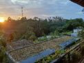Private one bed room pool valey – Bali – Indonesia