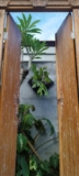 Avocado House – Bali – Indonesia