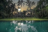Puri Tupai – Bali – Indonesia