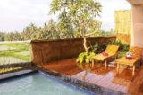 Modern 1 BR Private Villa Rice Field View in Ubud – Bali – Indonesia