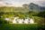 Spectacular Suite Tent with Private Plunge Pool – Bali – Indonesia