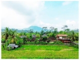 Gong Wi Cottages – Bali – Indonesia