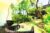 Entire 1 BR Garden Acces IR26A – Bali – Indonesia