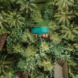 Clove Tree Hill – Bali – Indonesia