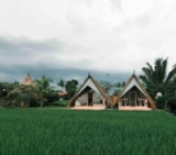 Padi Shack-Stunning Rice Field View in Ubud – Bali – Indonesia