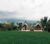 Padi Shack-Stunning Rice Field View in Ubud – Bali – Indonesia