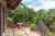 Twenty-one BR Authentic Balinese in Ubud Center – Bali – Indonesia