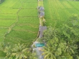 Puri Raya Villa luxury traditional home in Ubud – Bali – Indonesia