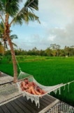 Secluded Villa Rice Field View to Escape The City – Bali – Indonesia