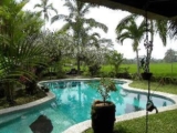 1BR Fabulous overlooking the Rice Paddy Fields – Bali – Indonesia