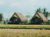 Cabin Benih – beautiful ricefield view! – Bali – Indonesia
