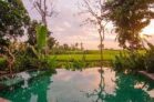 Ubud Manyar 3bedroom villa private pool – Bali – Indonesia