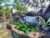 Balangan Garden Bungalow – Bali – Indonesia