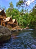 Ubud River Breeze – Bali – Indonesia