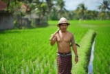 Villa Mandi Resort & Spa – Bali – Indonesia