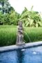Deluxe Cottage with Garden View in Ubud – Bali – Indonesia