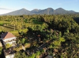 Pitanatri Guest House : where nature at it’s best – Bali – Indonesia