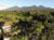Pitanatri Guest House : where nature at it’s best – Bali – Indonesia