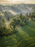 Bambootel Sawah View – Bali – Indonesia