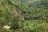 1BR Private Infinity Pool w/ Fresh Mountain View. – Bali – Indonesia