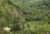 1BR Private Infinity Pool w/ Fresh Mountain View. – Bali – Indonesia
