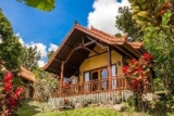 Bali Palms – Bali – Indonesia