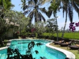 Cozy 1 BR Standard Room #WD12 – Bali – Indonesia