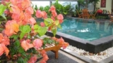 Puri Clinton Bali Homestay – Bali – Indonesia