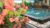 Puri Clinton Bali Homestay – Bali – Indonesia
