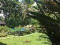 Villa Mahesa2.family private villa& pool in ubud – Bali – Indonesia