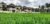 RC Ubud Villa 1 – Bali – Indonesia