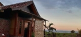 Ayolah Surf homestay & Surf Camp – Bali – Indonesia