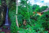 New! Beautiful stay at the Waterfall Village Bali! – Bali – Indonesia