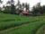 Alam Balian Hidden Paradise – Bali – Indonesia